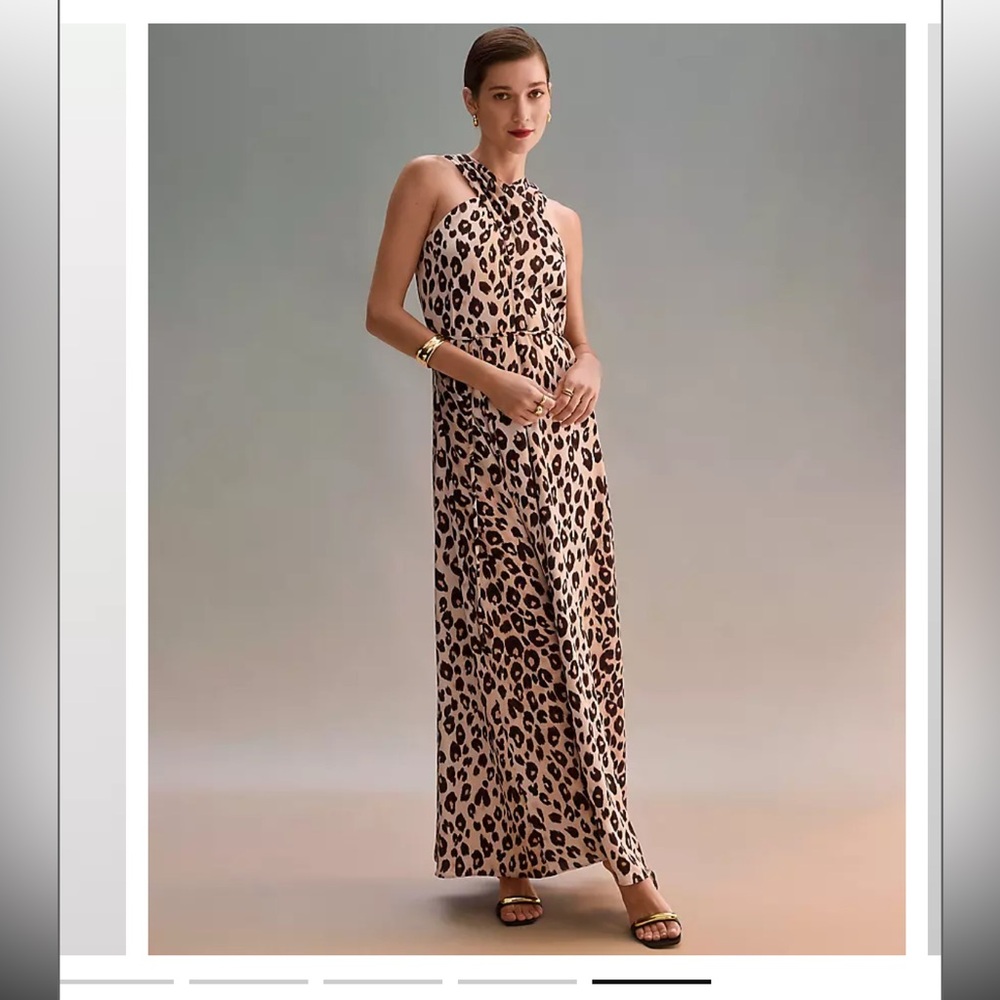 Ann Taylor Animal Print Maxi Skirt